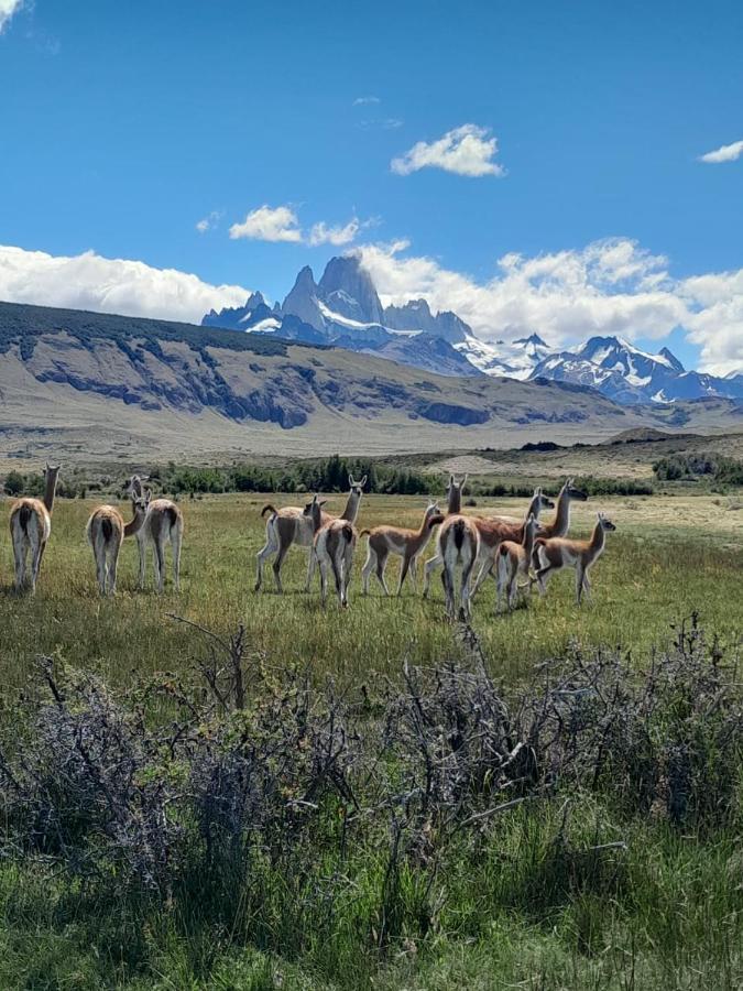 Vera Apart El Chalten Bagian luar foto